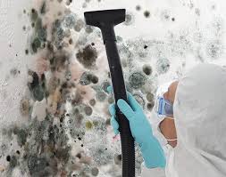 Best Mold Odor Removal Services  in Becker, MN